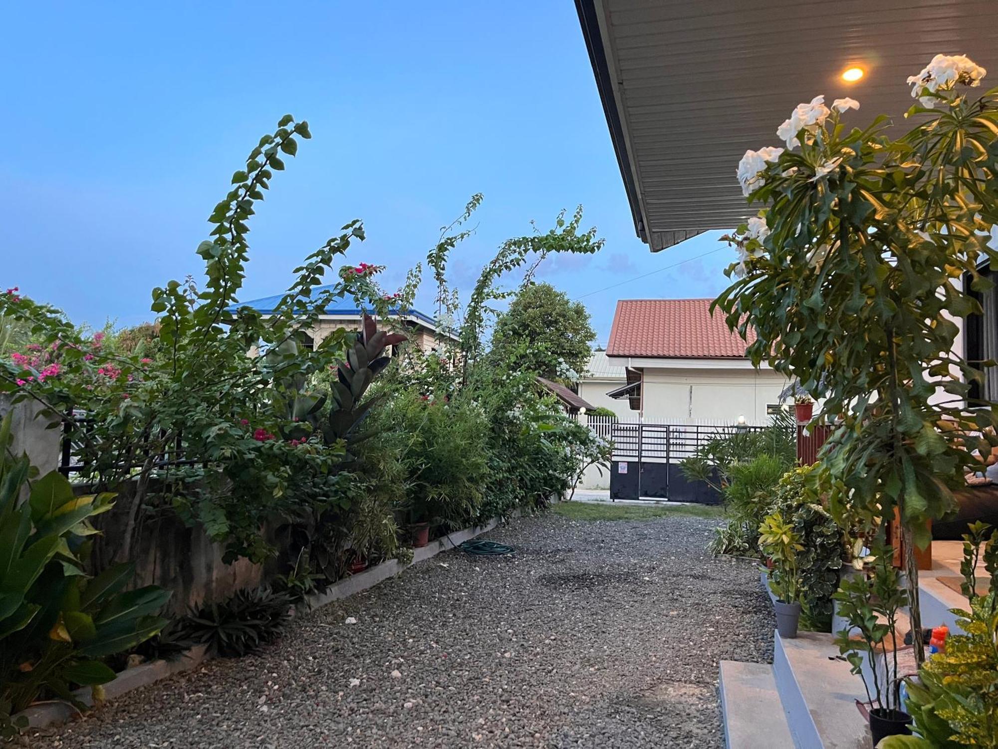 Momo Hostel 莫阿尔博阿 外观 照片