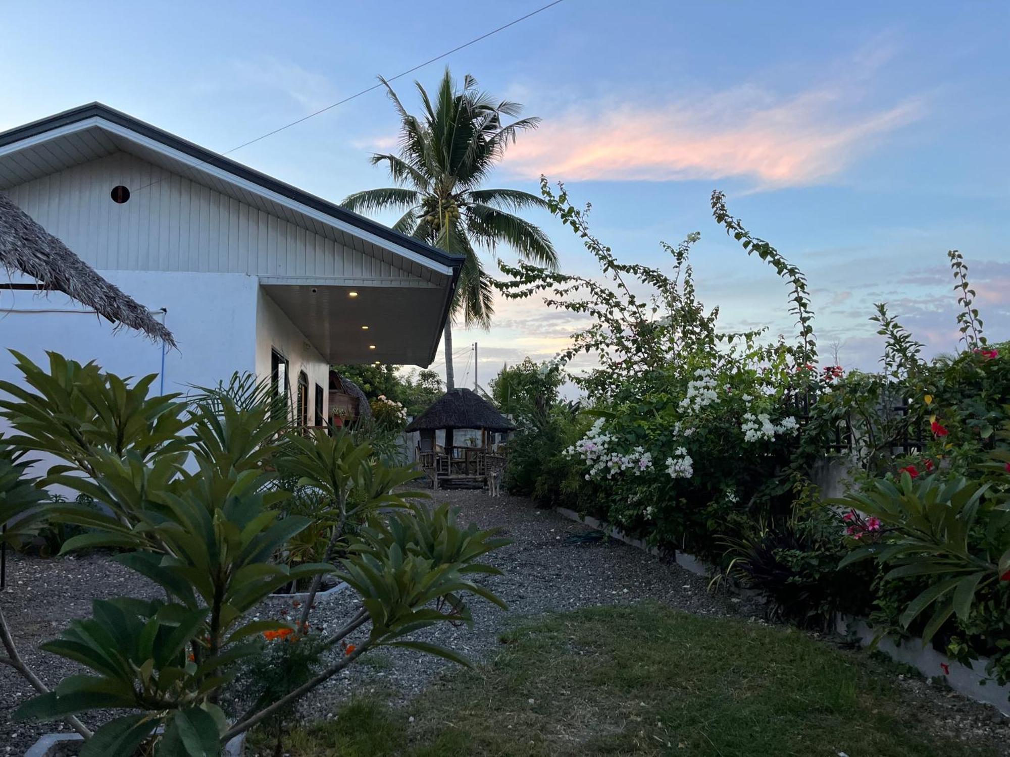Momo Hostel 莫阿尔博阿 外观 照片
